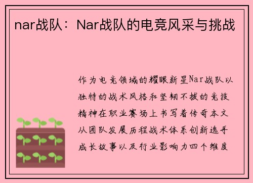 nar战队：Nar战队的电竞风采与挑战